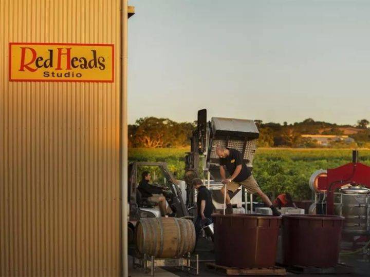 Wines|樂事會,酒庄直采,匠心酿造