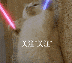 下水|这7种狗不适合游泳，让它下水，可能会“丧命”！