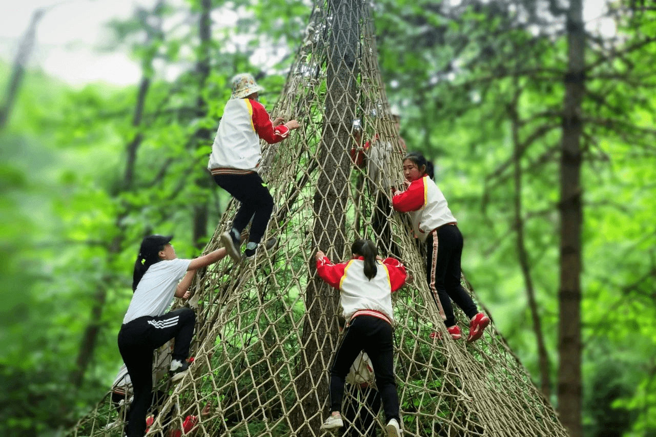 朱雀|朱雀国家森林公园激越体验夏令营活动火热进行中