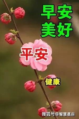 21年7月29日星期四清晨早上好问候祝福动态表情图片 阳光