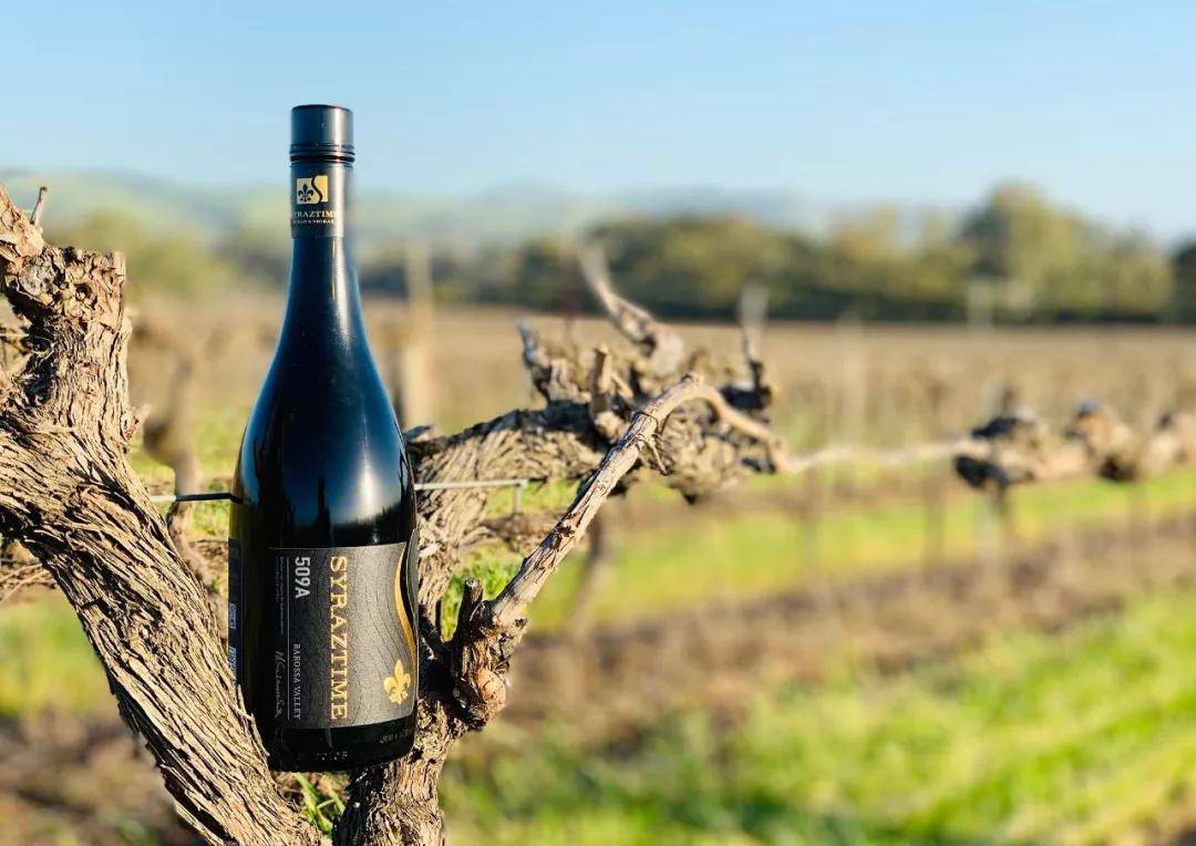 李维嘉|SYRAZTIME择喜:三大维度重新定义全球好西拉