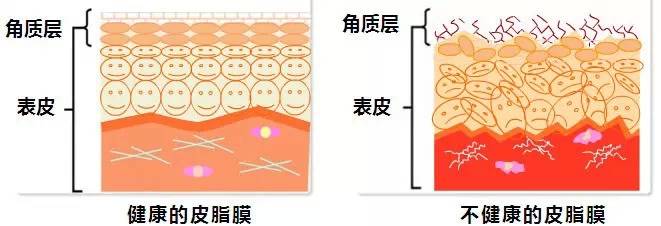 国货|别再傻傻用大牌了！这些国货护肤品完爆大牌，不做吃土girl！