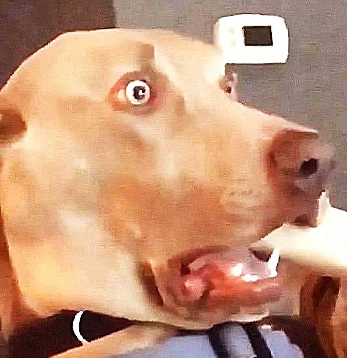 6e86faf5398c490593e7ebe31ce07c5e.jpeg