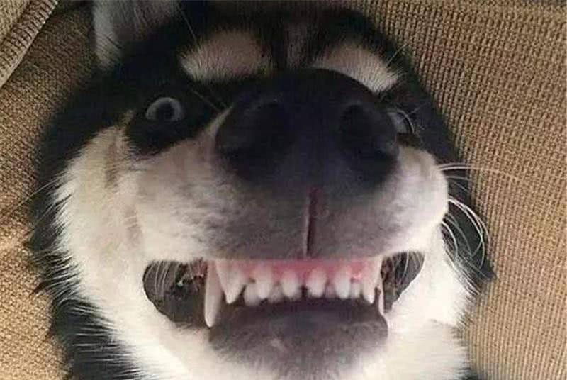 7f5f0ab49dd343019ed4aaa880d9af89.jpeg