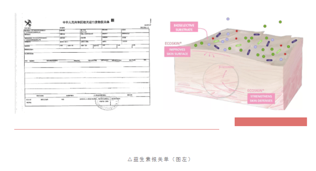 亮点|全新升级1 | 一抹水润滋养，肌肤极速“解渴”，让你重返少女肌