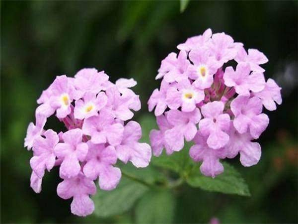 8月2日日子好不好