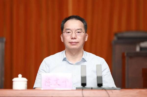 临高召开全县政法队伍教育整顿总结大会