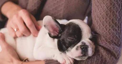 什么才算是真正的惊恐 8bca03da4e2243bda18bc8d3513e04d9.jpeg