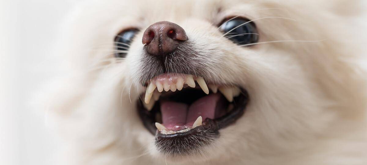 9c757f28b67446d08de03ef7cd50df09.jpeg