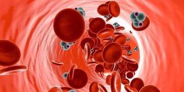 功效|不吃药如何降血糖,高血糖不妨多吃这些食物