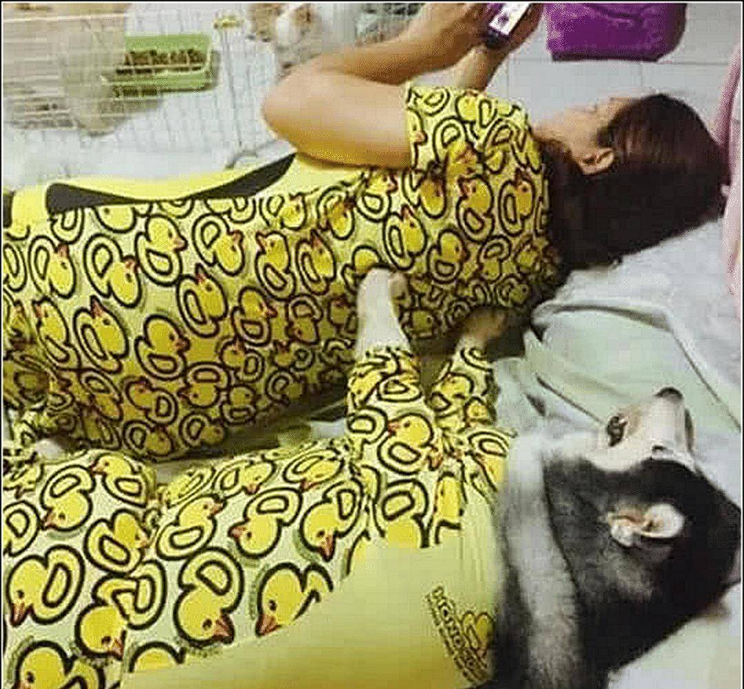 男主出差，把二哈寄养在女友家，一周后再见时男子直接看傻眼了