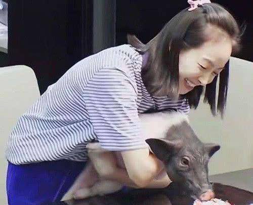 猫咪病重身插6根管，忍痛爬向主人讨摸
