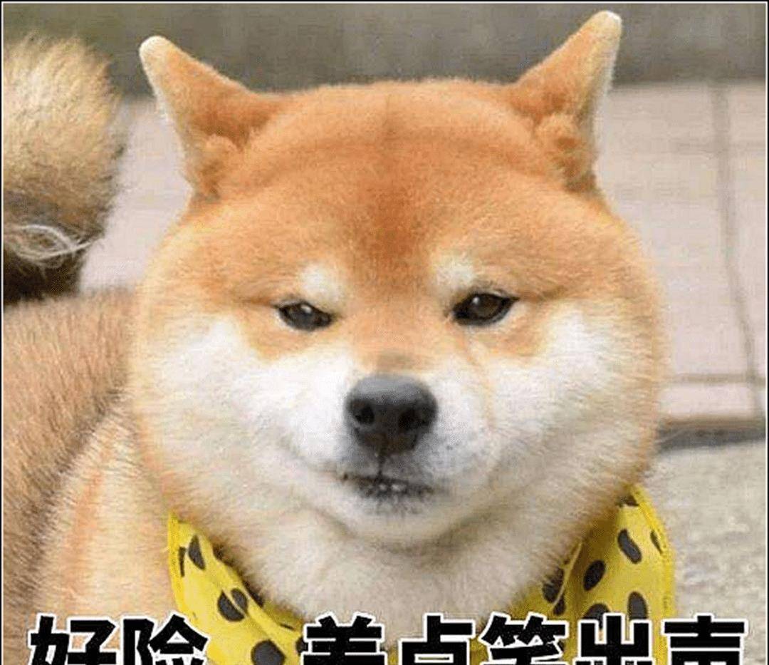 男子出差回家,发现柴犬叼着碗在嚎叫,仔细一想陷入深深自责 男子出差回家,发现柴犬叼着碗在嚎叫,仔细一想陷入深深自责