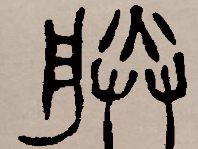 26e8516d6a8d47dd8064751bb9e6c412.jpeg