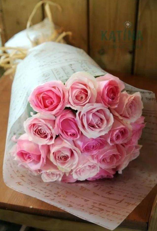 喜欢菊花，不如养盆“高档玫瑰”雪山玫瑰，万紫千红，美艳迷人