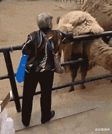 家小|如果我是按摩师,遇到这种客人,可能我直接就跑了吧!哈哈哈哈哈!太吓人了!