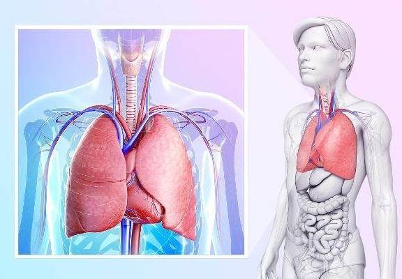 肝脏|肝脏不好,身体会有3个表现!只出现一个,也要赶紧去检查!