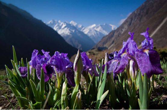 尼泊尔不止珠穆朗玛峰，津谷会让你明白，徒步旅行的美