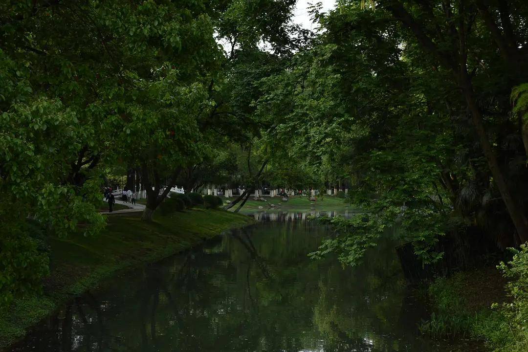 幼儿园|绿就一个字，可是已经把全世界都融化了（一个幼儿园教师的快乐暑假）