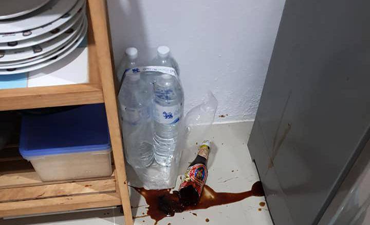 智商|谁说加菲猫智商低？其实它只是长得蠢，实际上聪明得要命！