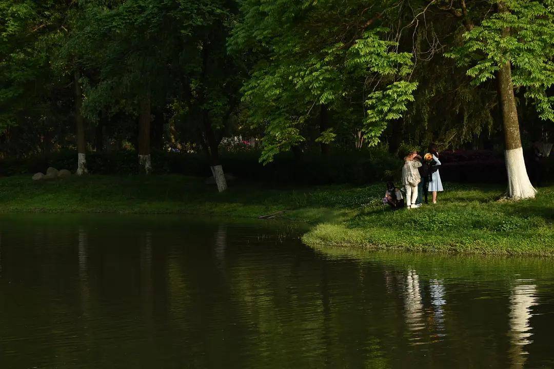 幼儿园|绿就一个字，可是已经把全世界都融化了（一个幼儿园教师的快乐暑假）