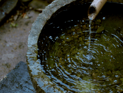 "|?“不可惜费,只贵工成"——净莲满堂如何打造有中国根脉的文化IP