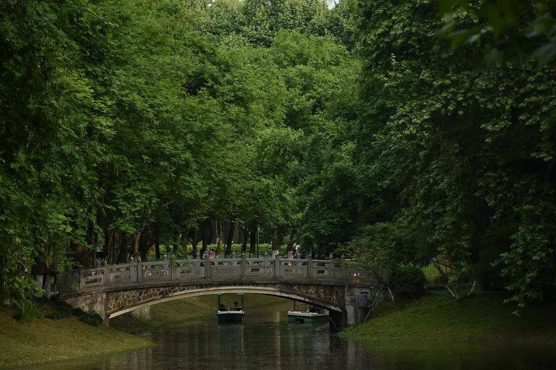 幼儿园|绿就一个字，可是已经把全世界都融化了（一个幼儿园教师的快乐暑假）