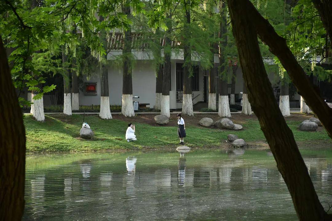 幼儿园|绿就一个字，可是已经把全世界都融化了（一个幼儿园教师的快乐暑假）