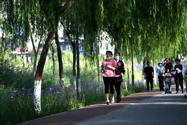 心脏|"三伏天"在晨跑的人很兴奋,但也很容易危险!!