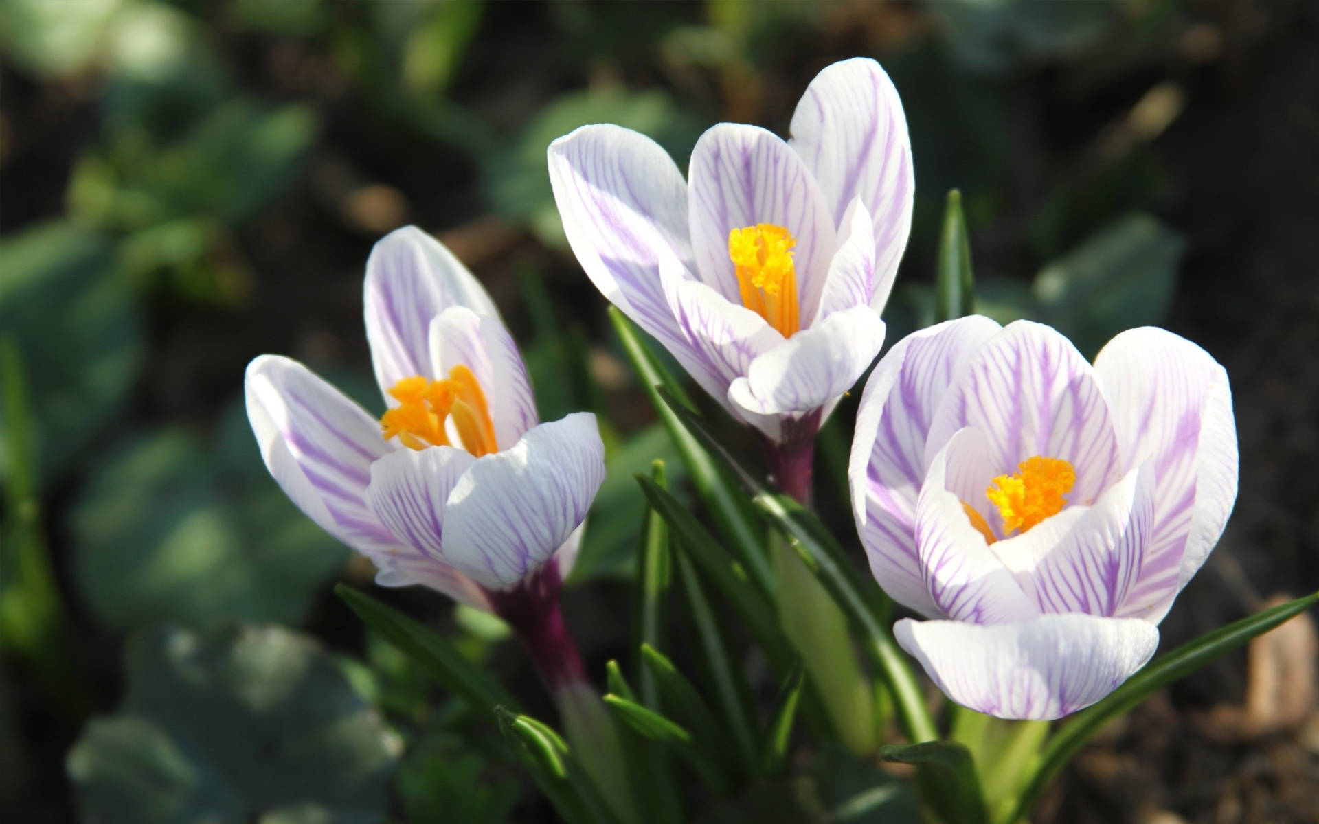 8月3日星座运势 容光焕发 勇往直前的四大星座 生活