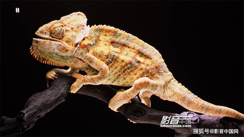 方面|BenQ i985L：迈进另一个阶段的三色激光强作