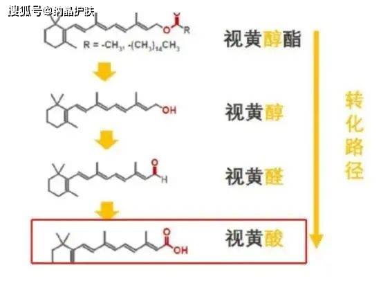 姐妹|早C晚A，风很大的维生素成分有啥作用？