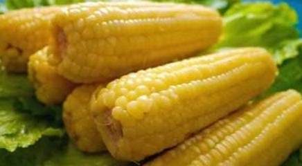 夏天|长寿老人告诉你,夏天常吃这3种黄色食物,健康养生少生病