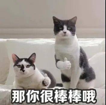 29f811b01b8a427c919230396774a0f2.jpeg