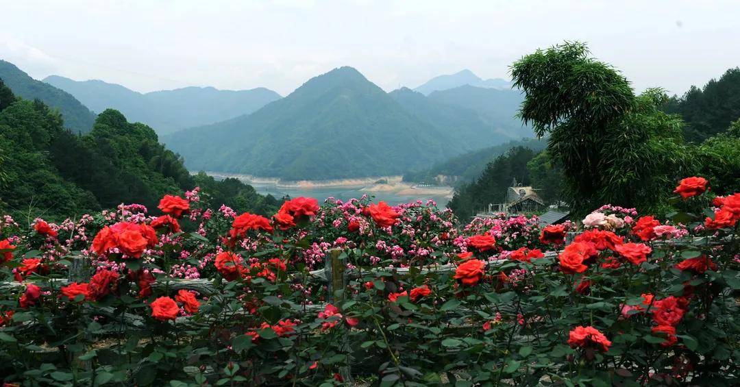 赤石村|祝贺！全市唯一！云和县赤石村拟入选第三批全国乡村旅游重点村！