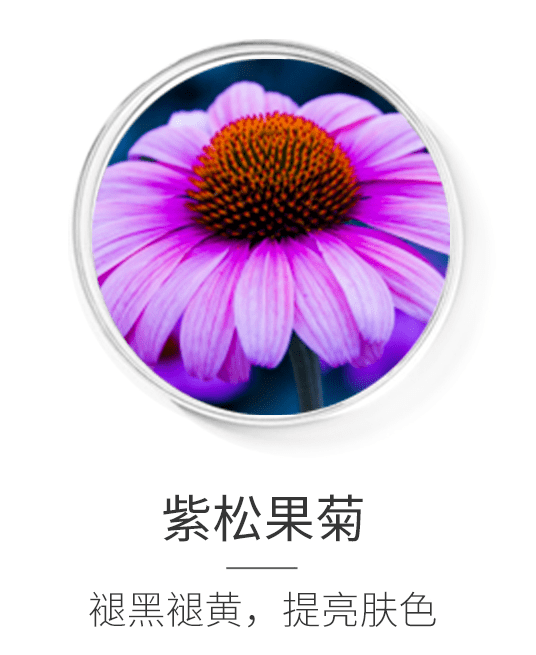 丹参|护肤肌密｜极致奢宠心动“膜”法