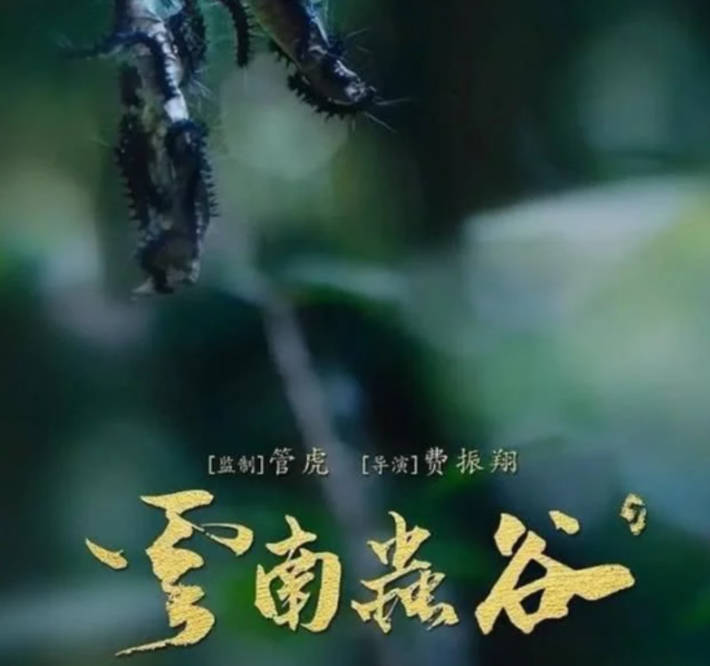 官宣|终于熬出头了!这部让你们苦等整整1年的16集狠剧,终于官宣定档