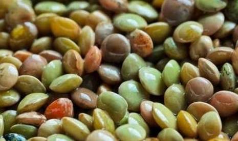 物质|高血糖？别怕！厨房里这几种食物，每天吃一点，血糖慢慢降下来！