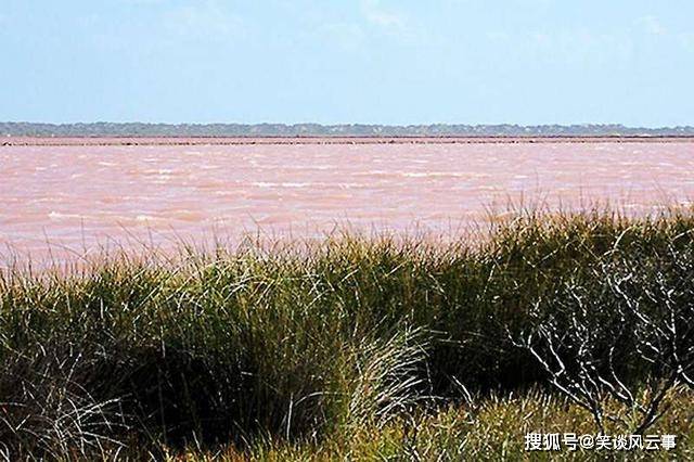 世界上最浪漫的湖泊，湖面呈粉红色，是婚纱照取景的绝佳之地