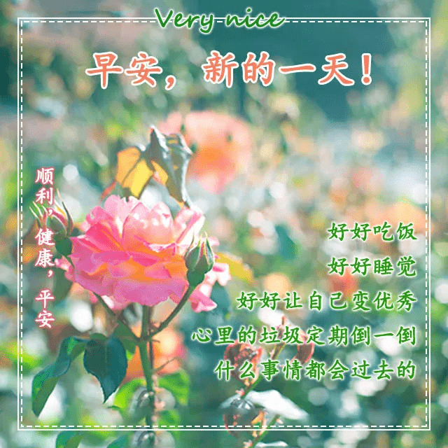 原创早晨温馨表情精选每日签到早安问候语句子元气满满的早安图片