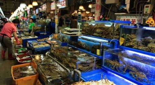 和闺蜜逛韩国海鲜市场，拿3斤虾10只蟹，付钱时想找个地缝钻进去