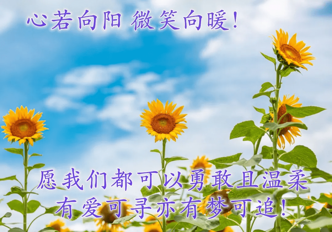 原創新款早安帶字圖片最好看的帶花早上好祝福圖片一句話早安語錄