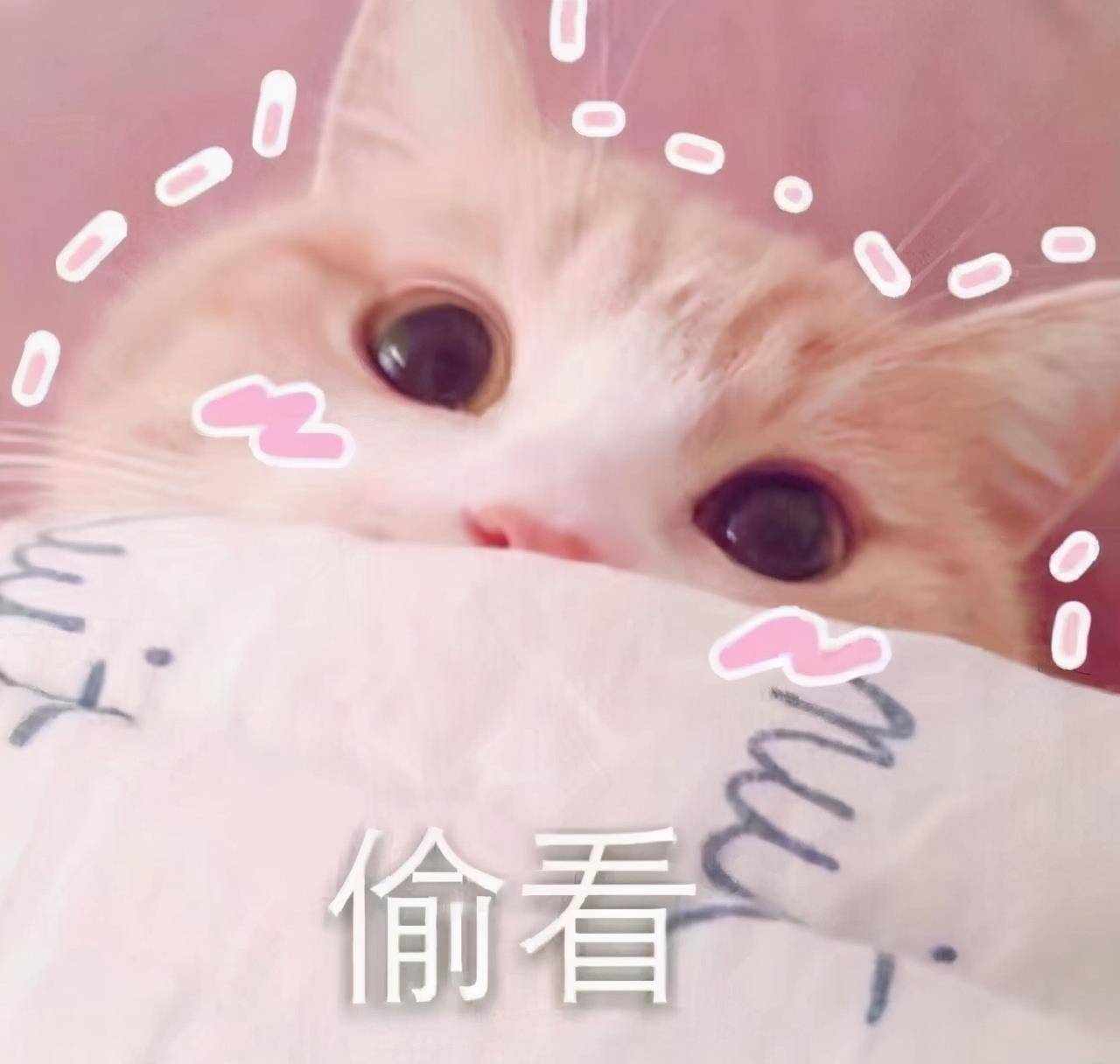 豆沙|适合日常的清淡口红，这4支豆沙色不容错过，显白高级轻松抬气质