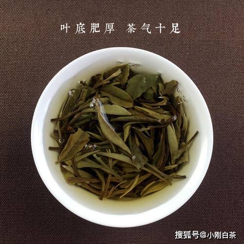 福鼎|福鼎白茶最怕什么？你知道吗？