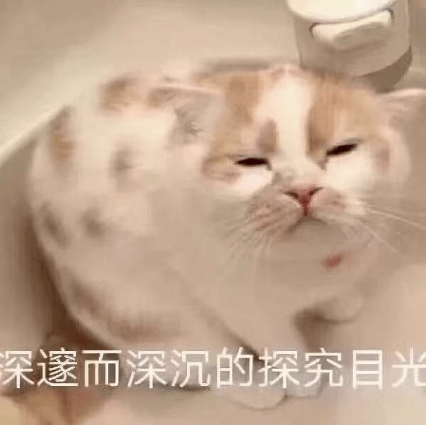 什么|周迅的灵气真的永不断电，一睁眼又是照片变GIF...