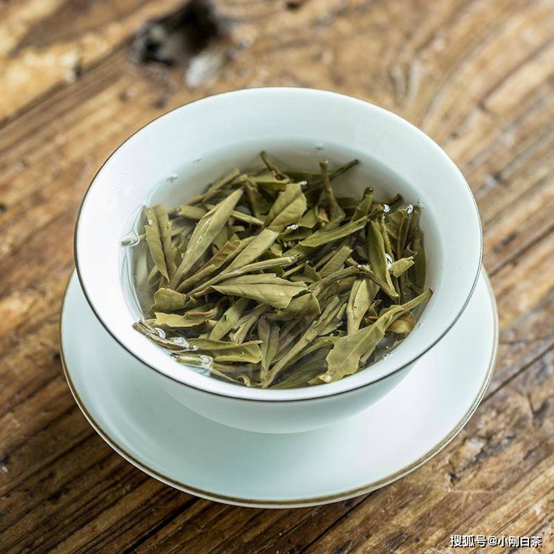 福鼎|福鼎白茶最怕什么？你知道吗？