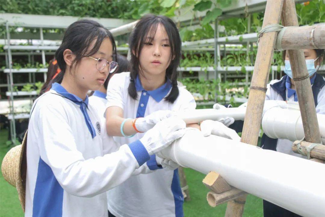 鋤頭|研學印記｜最美的課堂在路上——德琳學校