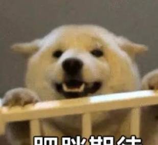 体重|听说现在流行去医院减肥?不信邪的我花了22块钱去试了下真假!