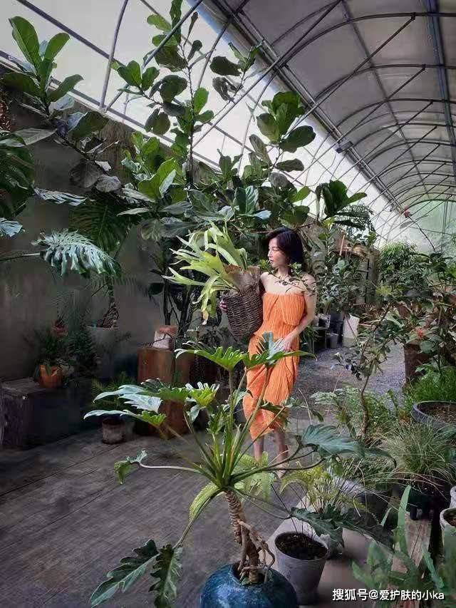 颜色|43岁刘孜脸蛋饱满，穿百褶裙身材纤细毫没赘肉，就是鼻子有点抢镜