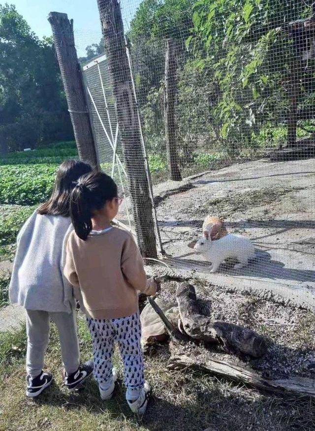 黑色|黎姿带娃打高尔夫！金丝眼镜挂领口，俩女儿穿衣看似低调实则奢华